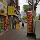 로얄성인게임장 이미지