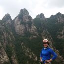 그루터기 이미지