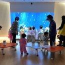 작은나무 큰숲도서관 이미지