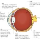 끼안경원 네이버블로그