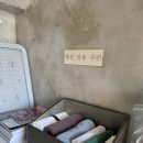 바다대통령 | 거제도애견동반펜션 비치블루애견펜션 302호 바다뷰 가족여행 숙소 후기