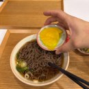 강남-295 이미지