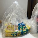 피자와썹 따끈따끈한 신메뉴 동원고추참치피자 먹어본 후기