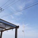 커피인(coffeein) 이미지