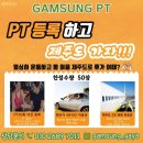 감성 피티 이미지
