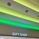 5월 마티네콘서트 마실 | 2025 데이식스 콘서트 후기 "The Present" [올림픽 체조경기장 KSPO DOME] 좌석 시야 및 셋리스트 공유