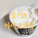 요아정 보다 맛있는 요거트아이스크림 라벨리 디요거트 내돈내산후기