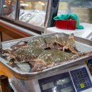 대신수산 이미지