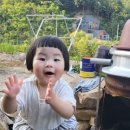 아산시육아종합지원센터 이미지