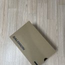 봄에 신기 좋은 화사하고도 발이 편한 신발, 살로몬 XT-6(바닐라레더 그레이 로즈클라우드) 구매후기