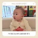 오뉴와 | 오뉴데이 쇼룸 방문 후 구매까지 솔직 후기