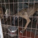 김성광 농장 이미지