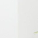 나무와숲한의원 이미지