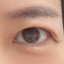 하루필름광주첨단지구 | <광주 눈썹> 첨단2지구 속눈썹 추천! 10년 경력 전문가의 맞춤 시술 오래쉬 본점 방문 후기