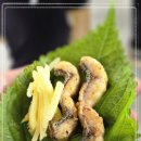 금빛장어 이미지