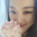 장희진 카카오 검색결과