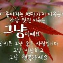 란빈 이미지