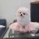 여러모로샵