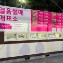 [화천산천어축제] 개막식 갔다온후기 개막식 천태만상 김다현 불꽃놀이