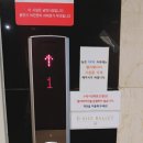 디엘르발레학원 네이버블로그