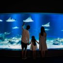 ㈜다음레저 이미지