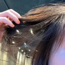 월곡동19 | [서울 성북]헤솔두피클리닉스 미아점_강북 두피&amp;탈모 관리 대만족, 미리 여성탈모 예방하기