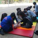 모락초등학교 이미지