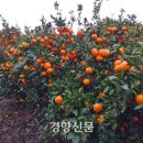 국민수농장 이미지