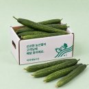 미리내농수산