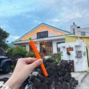 화창 | [내돈내산] 제주 구좌카페/월정리카페 오늘도화창 솔직후기