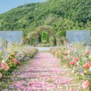 서원가든 - 하동군 | 서원가든