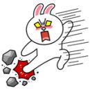 아라종합동물병원 이미지