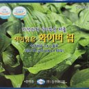 (주)정우메디칼 이미지