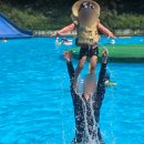 가평 태권도장 | 홍천 예담숲 캠핑장 솔직 후기-수영장만 두 개?! 짚라인까지 워타파크급 초 대형수영장