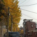 호림약국 이미지