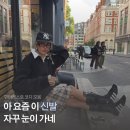 Y2K 핀터레스트 하이탑 스니커즈, 복서 호그 코디 모음!