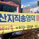 메이홍 이미지