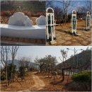 섬진강 매화 나루 이미지