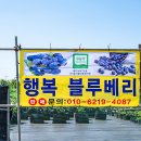 서해8농장 이미지