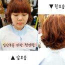 천연미용실 - 서구 괴정동 | 천연미용실
