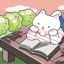 단양상회 이미지