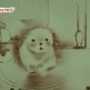 시월에농장 이미지