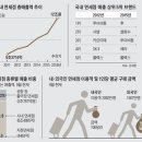 올 매출 12兆 국내 면세점.. '유커 편중'은 개선해야 이미지