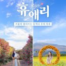 신례동로 이미지