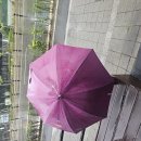 8.23.sun 우중 산책, 빌둥을 지양하라 이미지