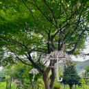 가든테라피펜션 이미지