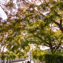 강화문학관 앞(관청리636-4) | 한가운데 다녀온 강화도 나들이 -용흥궁, 성공회강화성당, 카페 다온, 강화문학관, 카페 반미&amp;신또 들'
