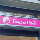 얼라이브01(alive01) 이미지