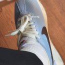 4230 | 나이키 NIKE 박규영, 나나, 차정원 착용 LD-1000 라이트 아머리 블루 착용샷 후기 사이즈 팁