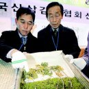 에이티20(AT20) 이미지